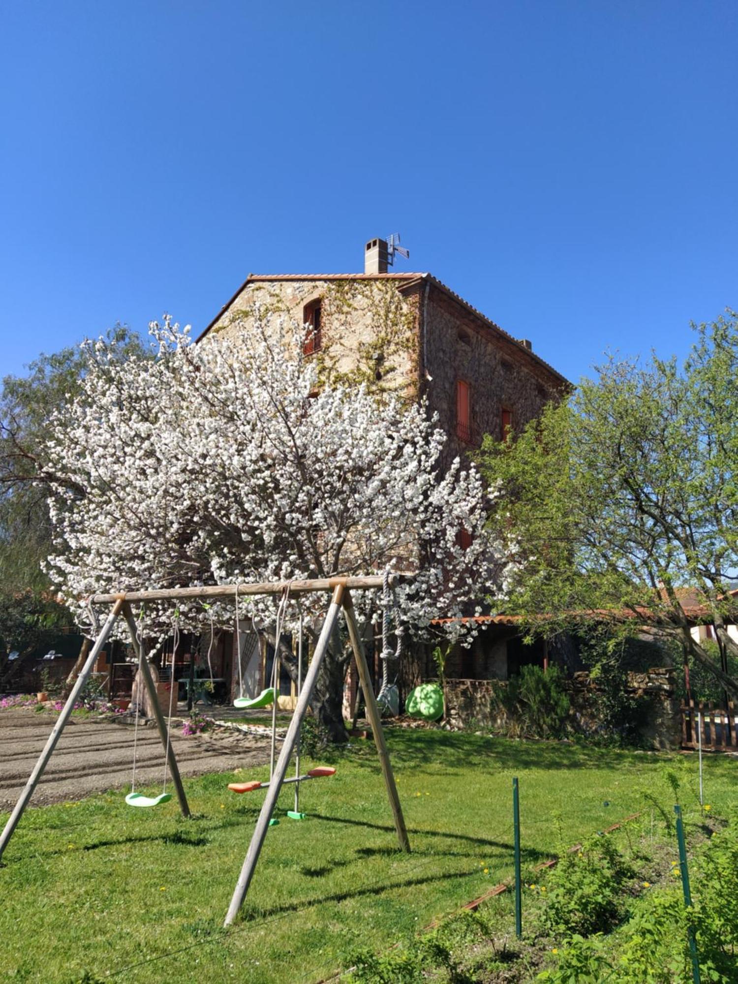 Chambres D'Hotes Las Tanes Vinca 外观 照片